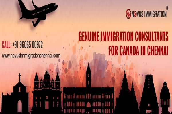 Best Immigration Consultant Chennai - Novusimmigrationchennai